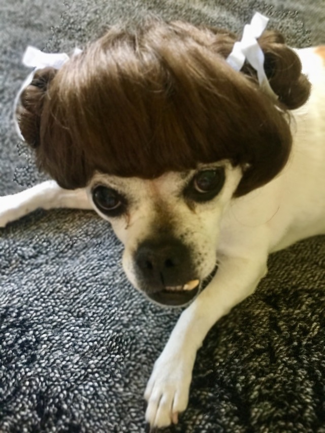 Custom 60’s era wig