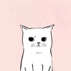 Re sized 9d9a4daa4e50e4306167 cdv photo 001