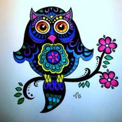 Re sized 9e3349cec6e814d6ec75 owl