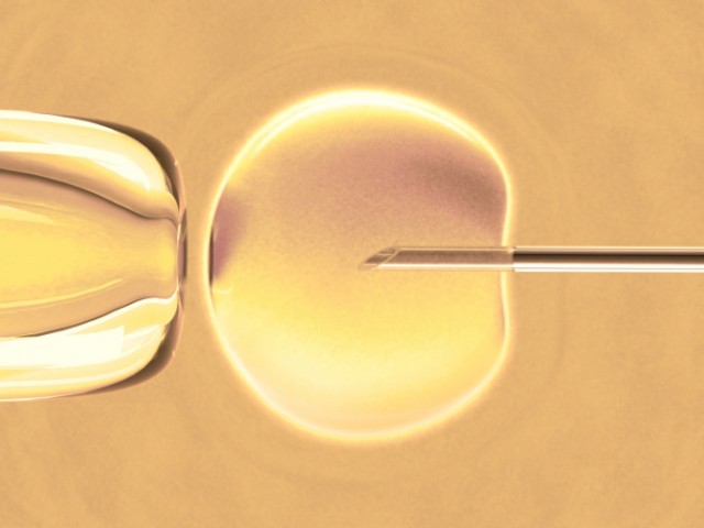 Stem Cells in Ovaries