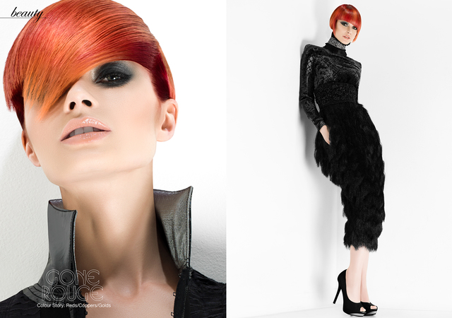 2017 NAHA Editorial Stylist of the Year Finalist 