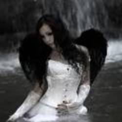 Re sized a57ef59b7a33a4bc09998acef8e8b38f 81636 ava