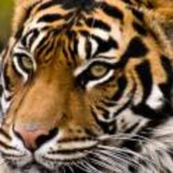 Re sized a5cd5571ecb5fb99eb257a7ca47a8c1c 73347 ava