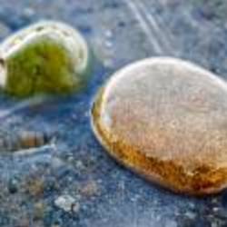 Re sized a87ff679a2f3e71d9181a67b7542122c 52144 ava