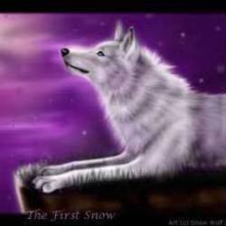 Re sized a9a9b4816c3799776eb6 first snow