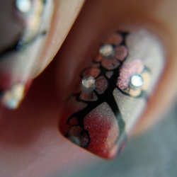 Re sized ab235785f722b49f397d dsc02513