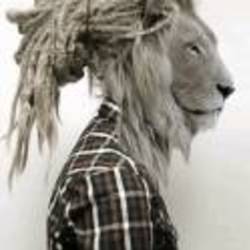 Re sized ac0e569f124dd0936427ed6a04b90555 ava