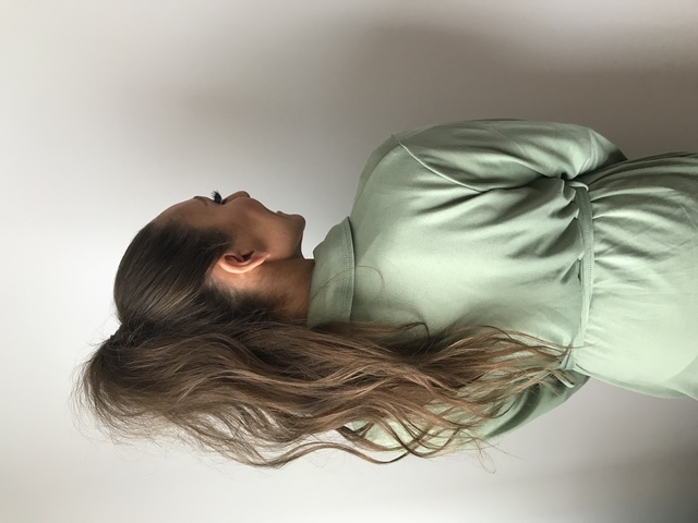 Sleek ponY