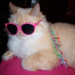 Re sized b0f72d393b31ddb6e620 294258 10150459635328368 2057380370 n