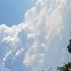 Re sized b84d88faec6c50a66c2d 20160611 191709