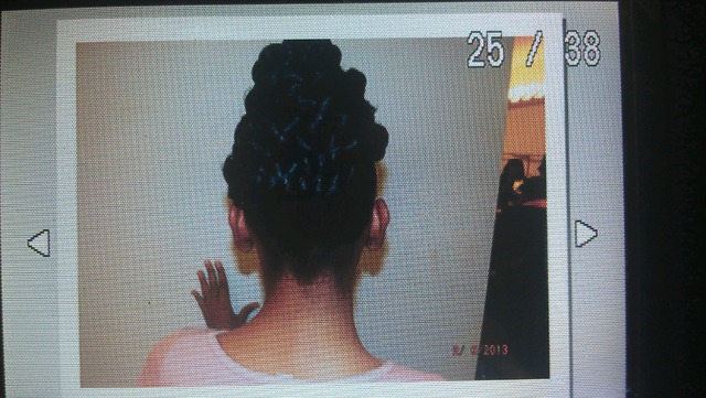 back of braided up do