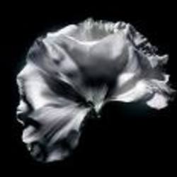 Re sized bb0e3d38588d87b3c9ee6a8e3fbeb644 81161