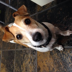 Re sized bb1e54d5d9f6ac85f3e0 image