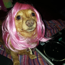 Re sized bf20fd05187392097db5 molly