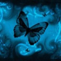 Re sized blue butterfly aqua black ava
