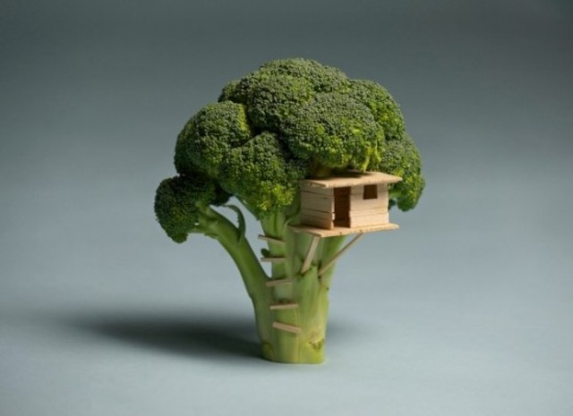 broccoli-house