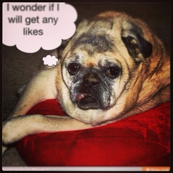 Re sized c20267113e33b62d3771 image