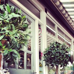 Re sized c464e75673197b8b8c07 salon picture