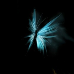 Re sized cad40a0dbb6f202c7e78  20160928 211519