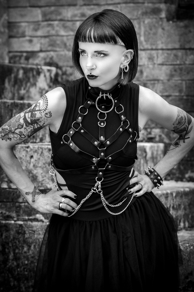 Gothic Punk Collection