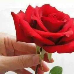 Re sized d38e2b927d47f8a6c644 11665750 10205302032844963 7827042995171252718 n