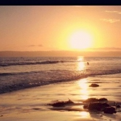 Re sized d7bc7a855c2552c657b3 img 0231