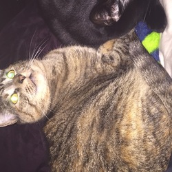 Re sized d7c197ac0adcc7187ede img 0238