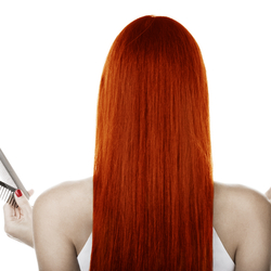 Re sized d83657c99bf63729a2a6 kc logo