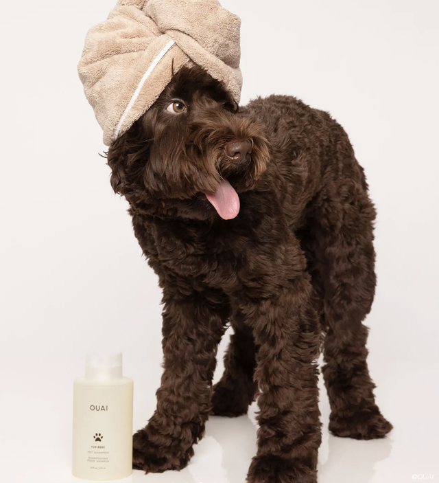 Re sized dda9a9544b3956d467e4 dog shampoo