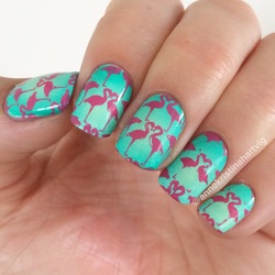 Re sized de8eb94898a7f2c4827d image