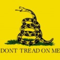 Re sized dont tread on me ava