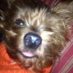 Re sized e2e257c4d2dd32899439 183875 10152216636595525 610335655 n