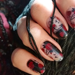 Re sized ed8474480527785a851f img 20170121 231119 082