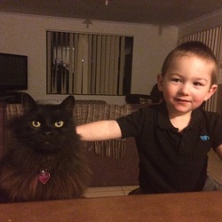 Re sized f3a62073428fdefb4c8c ben and tinx