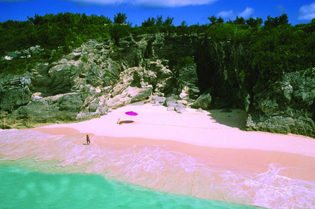 Pink Sands Beach