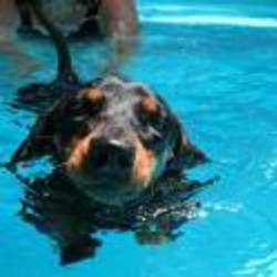 Re sized fa9a77a4bfb7a4cb606cdbb2df4e815b 84332 ava