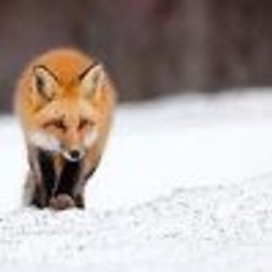 Re sized fb100000002604621 1388056220 ava