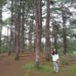 Re sized fb100000101400795 1372161897 ava