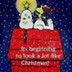 Re sized fb100000415448726 1395002834 ava