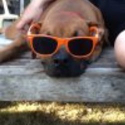 Re sized fb100000543145331 1376132638 ava