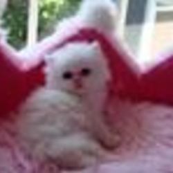 Re sized fb100000575003794 1385957773 ava