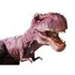 Re sized fb100000694327907 1376220546 ava