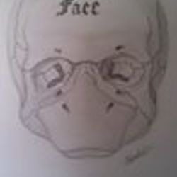 Re sized fb100000756592817 1372476309 ava