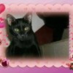 Re sized fb100000766196269 1374809686 ava