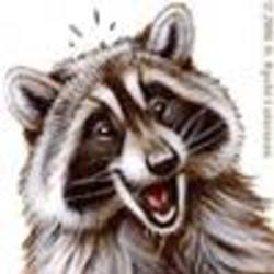 Re sized fb100000783402270 1378218735 ava