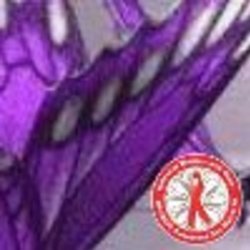 Re sized fb100000786032954 1380575608 ava