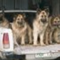 Re sized fb100000826154837 1357935274 ava