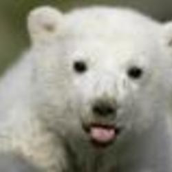 Re sized fb100000862997125 1361829862 ava