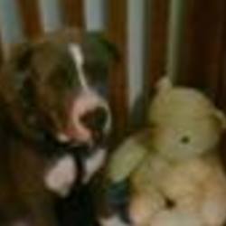 Re sized fb100000990296748 1379012292 ava