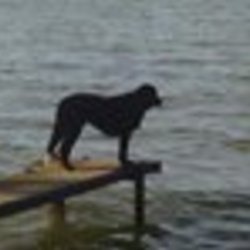 Re sized fb100001077494129 1378067475 ava